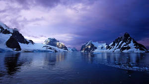 Antarctica High-quality Photograph Wallpaper