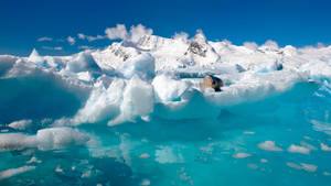 Antarctica Melting Ice Caps Wallpaper