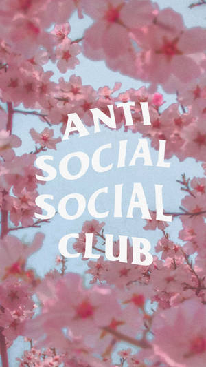 Anti Social Social Club Cherry Blossoms Wallpaper
