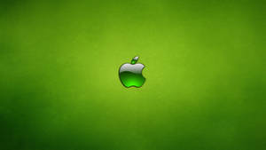 Apple 4k Ultra Hd Neon Green Wallpaper