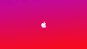 Apple 4k Ultra Hd Vibrant Hues Wallpaper