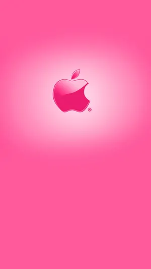 Pink ombré background  Pink wallpaper iphone, Iphone wallpaper