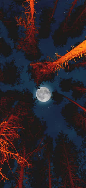Appreciate The Beauty Of The Night Sky With The New Moon Iphone Wallpaper