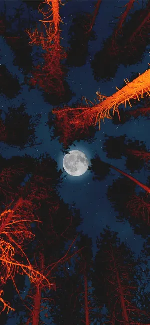 Appreciate The Beauty Of The Night Sky With The New Moon Iphone Wallpaper