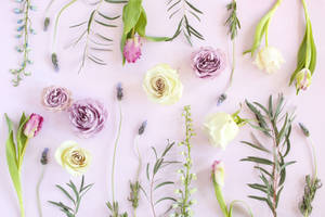 April Purple Flowers Wallpaper