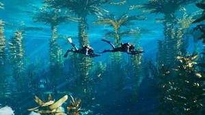 Aquatic Scuba Divers Underwater Wallpaper