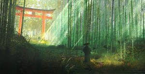 Arashiyama Bamboo 4k Grove Kyoto Wallpaper