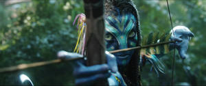 Archer Avatar Photo In Hd Wallpaper