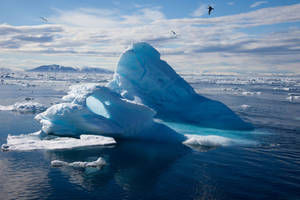Arctic Cone-shaped Iceberg Wallpaper