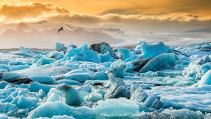 Arctic Landscape Full Of Ice Wallpaper