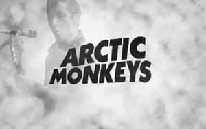 Arctic Monkeys Live Performance Wallpaper
