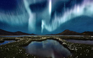 Arctic White Aurora Borealis Wallpaper