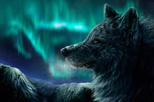 Arctic Wolf Northern Lights Art Hd Wallpaper
