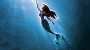 Ariel Swimming Under The Sea Wallpaper