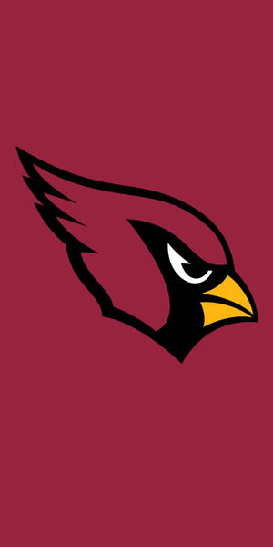 Arizona Cardinals Nfl Team Logo Wallpaper