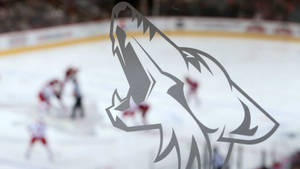 Arizona Coyotes On Ice Hockey Rink Wallpaper