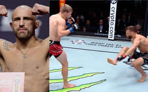 Arnold Allen Ufc Ring Wallpaper