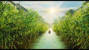 Arrietty Swamp Canal Wallpaper