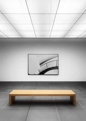 Art Gallery With Brown Bench Wallpaper