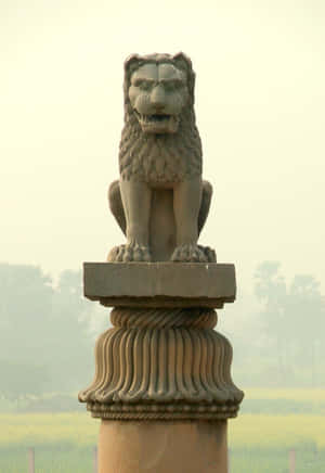 Ashoka Pillar One Lion Statue Wallpaper