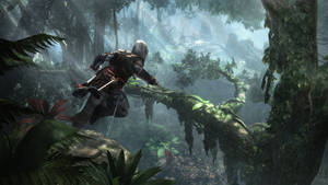 Assassin's Creed Black Flag Hidden Forest Wallpaper