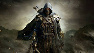 Assassin The Elder Scrolls Online Wallpaper