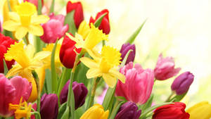 Assorted Color Real Floral Wallpaper