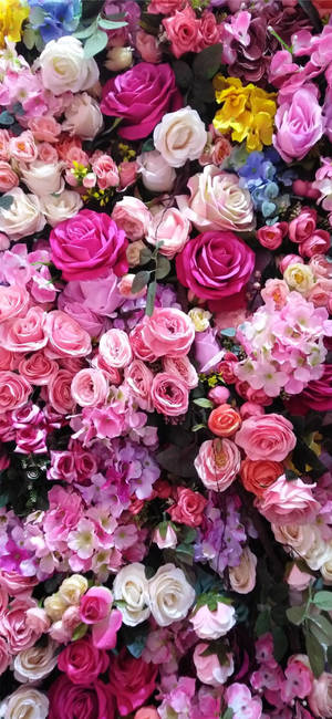 Assorted Roses Iphone Ios 10 Wallpaper