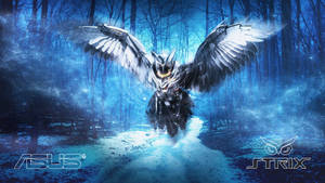 Asus Rog Strix Owl Wallpaper