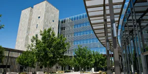 At The Back Of Chandler City Hall Wallpaper