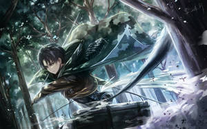 Attack On Titan Characters Levi Forest Wallpaper