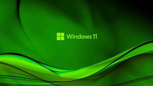 Attractive Green Windows 11 Logo Wallpaper