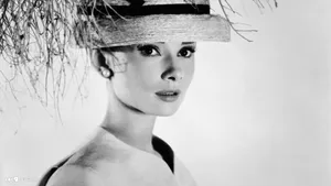 Audrey Hepburn Fashion Icon Wallpaper