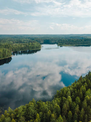 Aulanko Nature Reserve In Finland Wallpaper