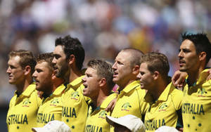 Australia Cricket Players Wallpaper