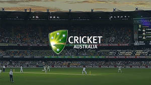 Australia Cricket Team Stadium Wallpaper