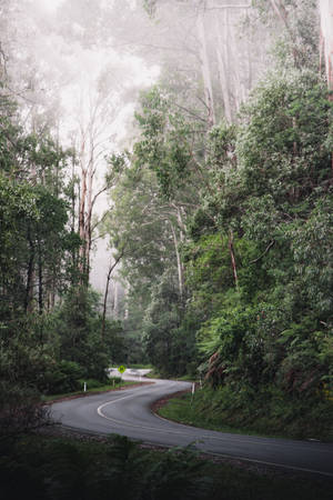 Australia Foggy Road Wallpaper