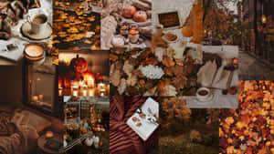 Autumn Collage - A Collage Of Autumn Leaves Wallpaper