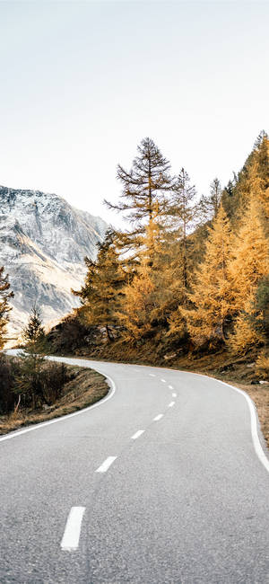 Autumn Iphone Mountain Forest Road Wallpaper