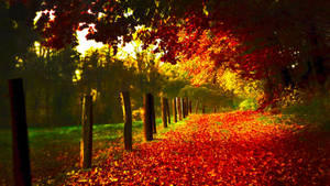 Autumn Landscape Hd Scenery Wallpaper