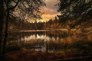 Autumn Landscapes Wallpaper