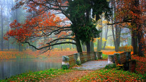 Autumn Macbook Bridge In A Park Wallpaper