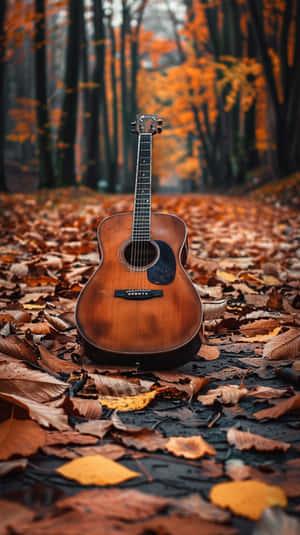 Autumn Melody Guitarin Forest Wallpaper