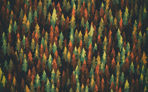 Autumn Pine Trees Android Material Design Wallpaper