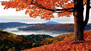 Autumn Season And Foggy Mountains Wallpaper