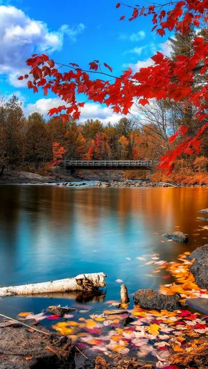 Autumn Season Beautiful Phone Wallpaper
