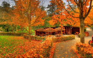 Autumn Season Gazebo Wallpaper