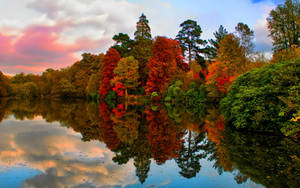 Autumn Season Reflection Wallpaper