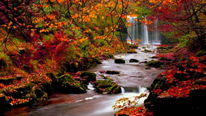Autumn Season River Wallpaper