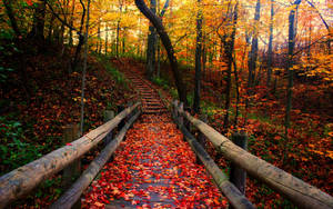 Autumn Season Stairway Wallpaper